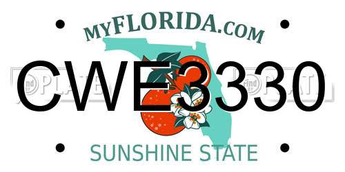 CWE3330 Florida License Plate