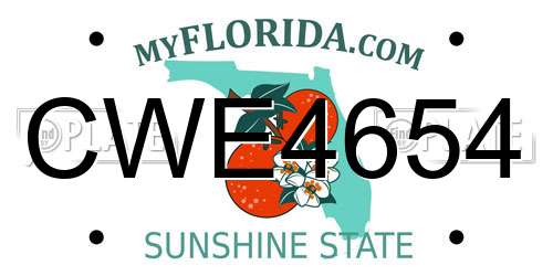 CWE4654 Florida License Plate
