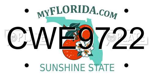 CWE9722 Florida License Plate