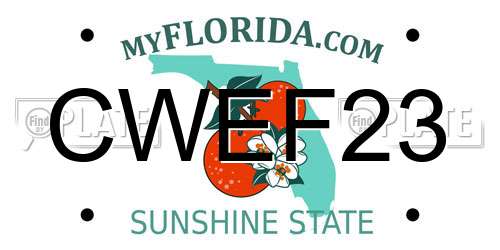 CWEF23 Florida License Plate
