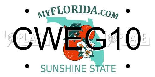 CWEG10 Florida License Plate
