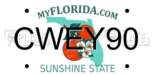 CWEY90 Florida License Plate