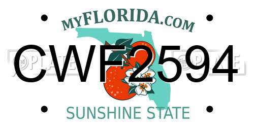 CWF2594 Florida License Plate