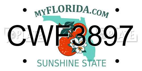 CWF3897 Florida License Plate