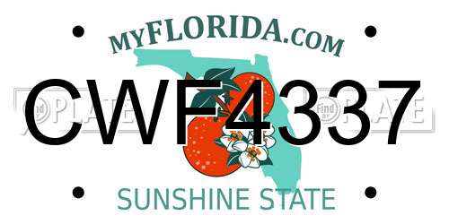 CWF4337 Florida License Plate