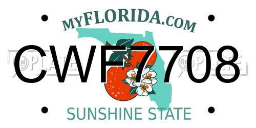 CWF7708 Florida License Plate