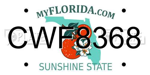 CWF8368 Florida License Plate