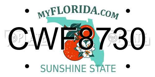 CWF8730 Florida License Plate