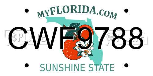 CWF9788 Florida License Plate