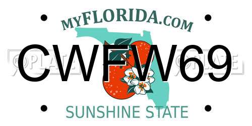 CWFW69 Florida License Plate