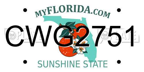 CWG2751 Florida License Plate