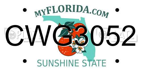CWG3052 Florida License Plate