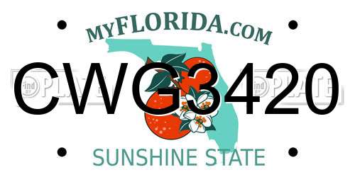 CWG3420 Florida License Plate