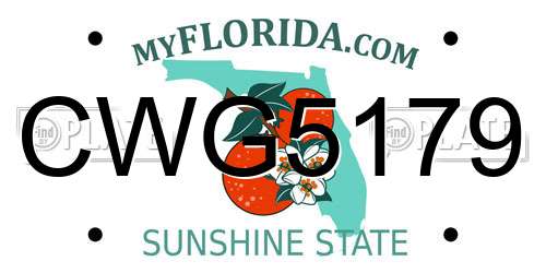 CWG5179 Florida License Plate