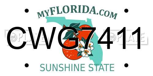 CWG7411 Florida License Plate