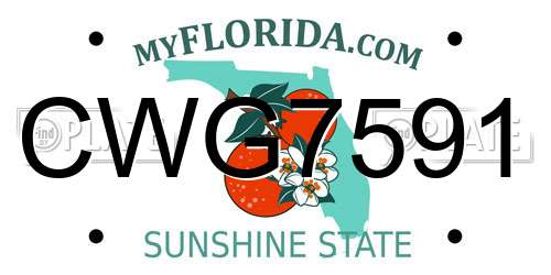 CWG7591 Florida License Plate
