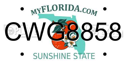 CWG8858 Florida License Plate