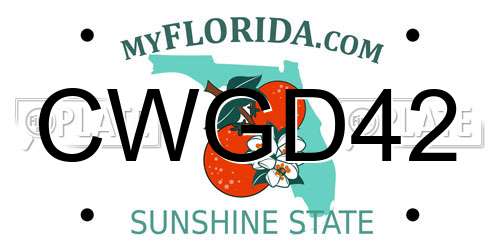 CWGD42 Florida License Plate