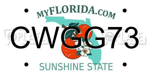 CWGG73 Florida License Plate