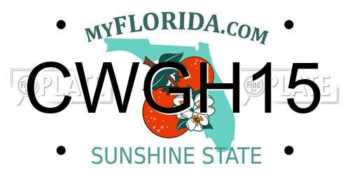 CWGH15 Florida License Plate