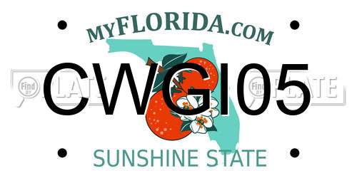 CWGI05 Florida License Plate