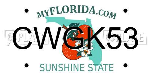 CWGK53 Florida License Plate