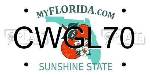 CWGL70 Florida License Plate