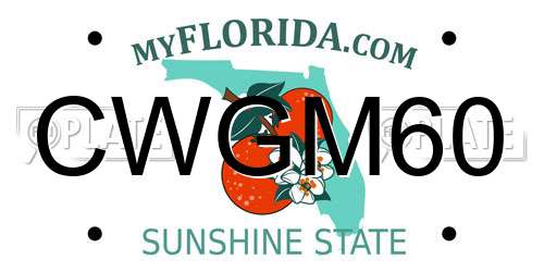 CWGM60 Florida License Plate