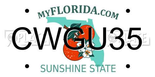 CWGU35 Florida License Plate