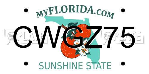CWGZ75 Florida License Plate