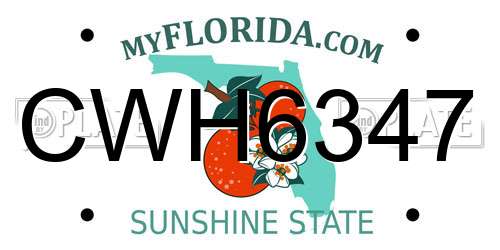CWH6347 Florida License Plate
