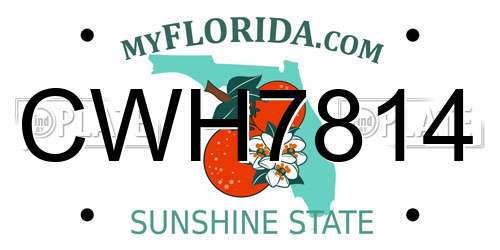 CWH7814 Florida License Plate
