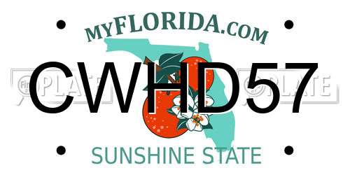 CWHD57 Florida License Plate
