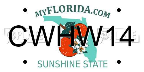 CWHW14 Florida License Plate
