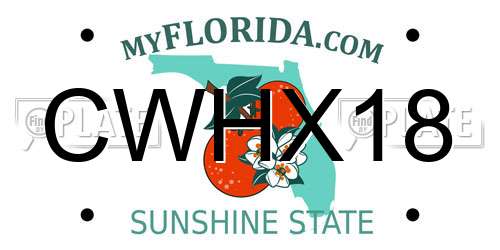 CWHX18 Florida License Plate