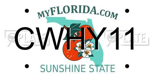 CWHY11 Florida License Plate