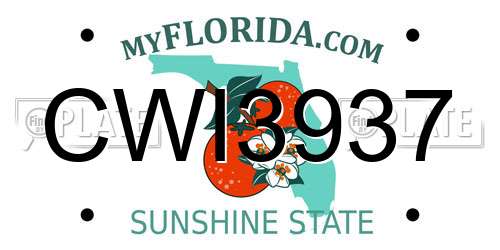 CWI3937 Florida License Plate