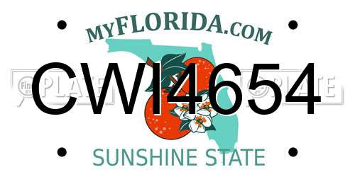 CWI4654 Florida License Plate
