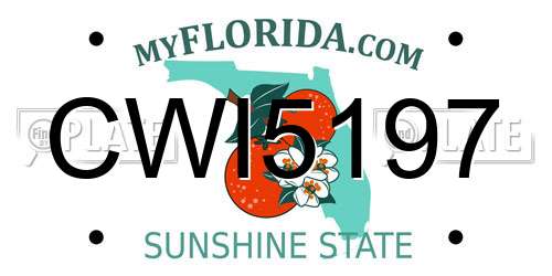 CWI5197 Florida License Plate