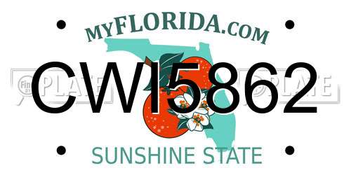 CWI5862 Florida License Plate