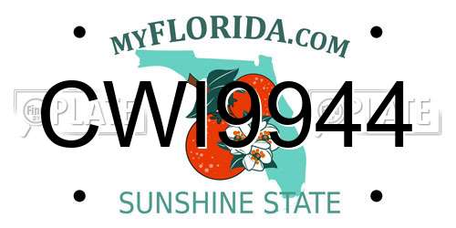 CWI9944 Florida License Plate