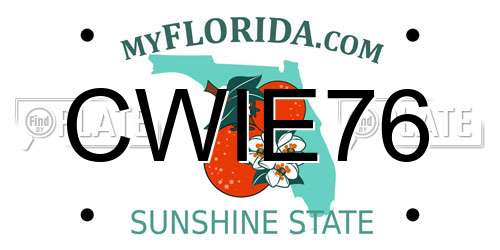 CWIE76 Florida License Plate