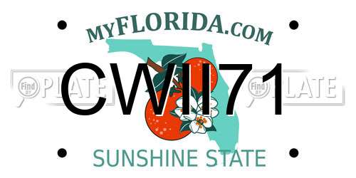 CWII71 Florida License Plate