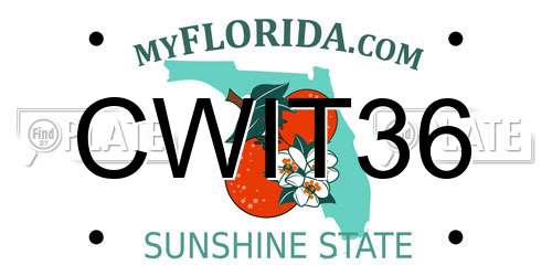 CWIT36 Florida License Plate