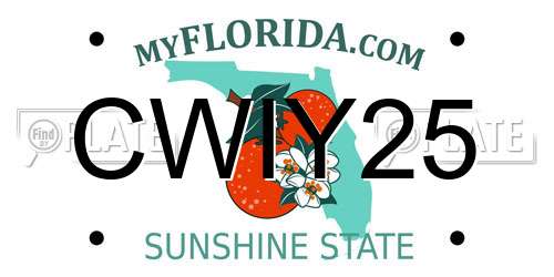 CWIY25 Florida License Plate
