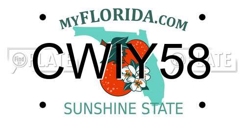 CWIY58 Florida License Plate