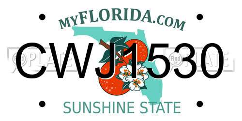 CWJ1530 Florida License Plate