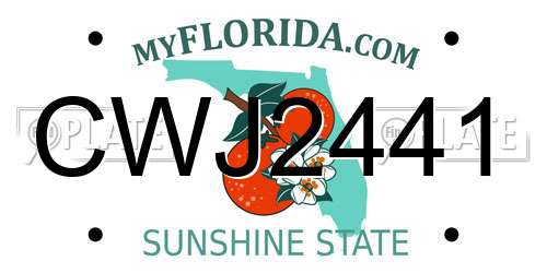 CWJ2441 Florida License Plate