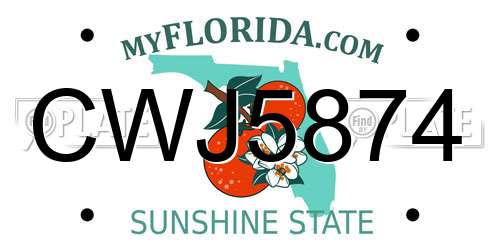 CWJ5874 Florida License Plate