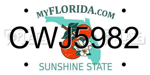 CWJ5982 Florida License Plate